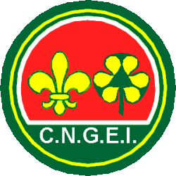 logo cngei