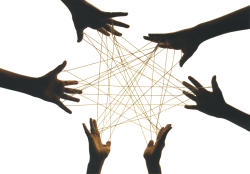 condivisione